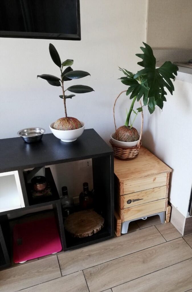 Vermicompostera hace juego con los muebles 