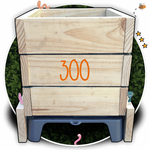 Pack Esencial